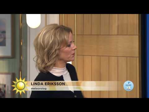 Så blir helgvädret i julrushen - Nyhetsmorgon (TV4)