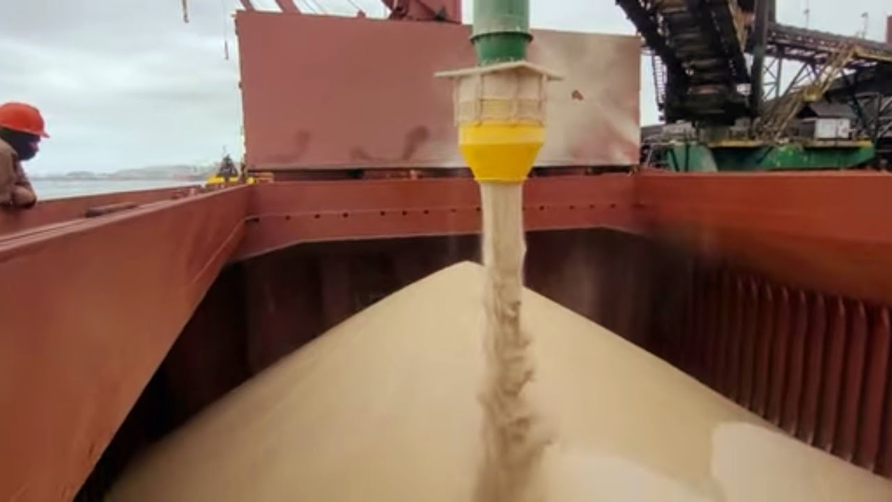 Porto de Santos🇧🇷- Navio ZANTE⛴️- Embarque de Açúcar a Granel @relaxeviajeclaudio