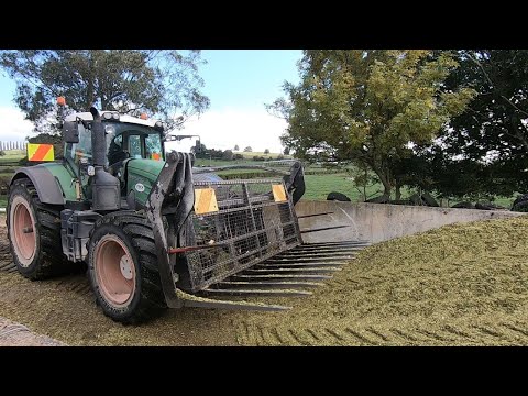 Buying More Maize Silage & A Cow Has Picked Up A Bad Habit!