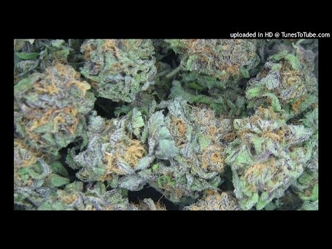 Diho Raz x Graf • TRAWA REMIX | prod. by @808MTK |