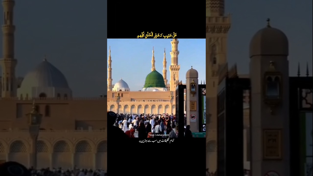 Madina 🌸 #allah #muhammad #islam #islamic #islamicvideo #shorts #shortvideo #muslim #youtubeshorts