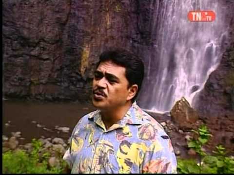 " Ngarongaro Te Henua " - Guy Tuhoe