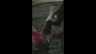 KIZ ÇOCUK & ERKEK ÇOCUK FARKI 👧🤷‍♂️