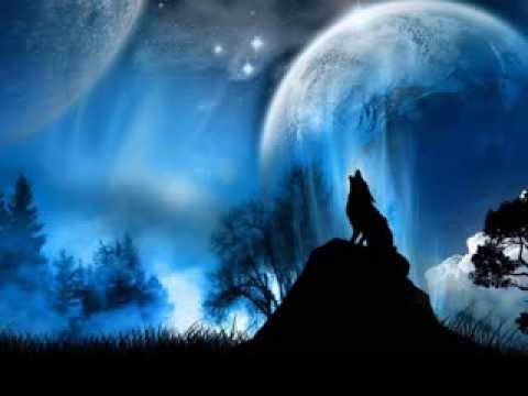 Moon Wolf feat. Prema Leo - Z temnoty do svetla ( Daddy Yankee )