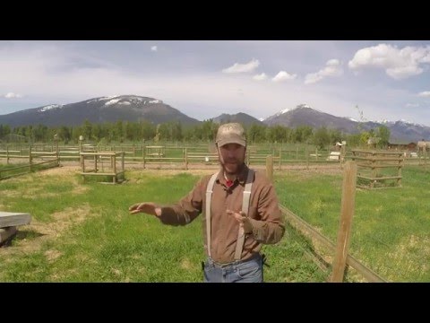 ABC acres: Follow up for Feedback: Pasture Restoration - episode #027
