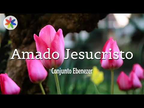 Conjunto Ebenezer - Amado Jesucristo.