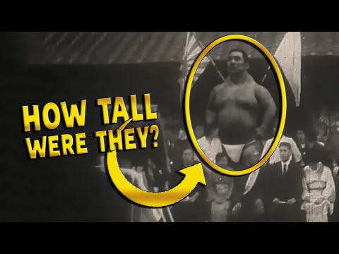 Meet the Giants: 20 Stories of the Tallest People in History