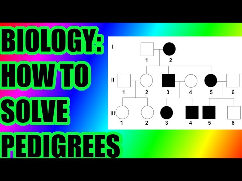 Biology: How To Solve Pedigree Charts & Questions