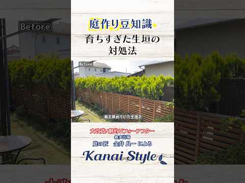 果物の生垣を植える方法は？珍しいプライバシースクリーンに最適な食用低木  庭園