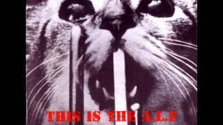 VA. - This is the A.L.F.