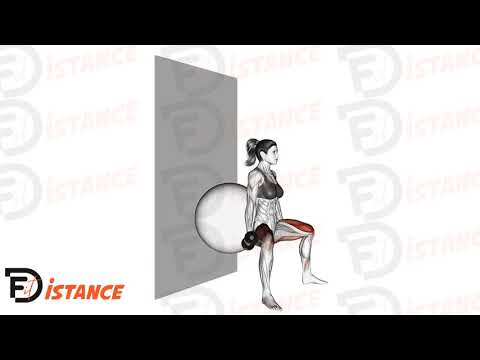 Squat sumo avec haltères dos sur ballon contre le mur - Exercice Squat sumo avec haltères dos sur ballon contre le mur en vidéo