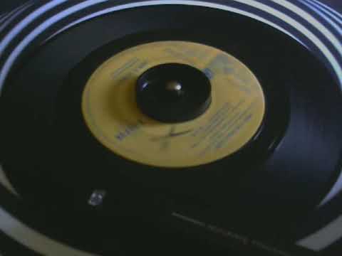 Jan & Dean - Ride the Wild Surf - 45 rpm