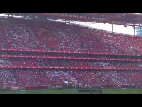 Benfica vs. Penafiel | EAGLE!