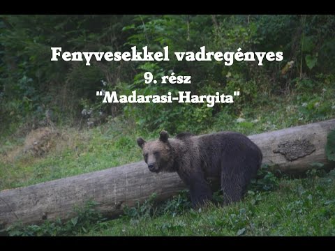 Fenyvesekkel vadregényes 9.rész:"Madarasi-Hargita"