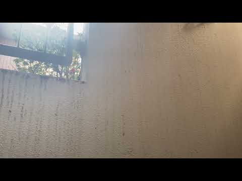 Quiet Late Morning Balcony Ambience | Urban Ambient Sound | No Music