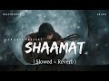 Shaamat Male Version - Lofi (Slowed + Reverb) | Ankit Tiwari | SR Lofi