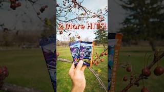 MTG Ninja Turtles Collector booster Packs Hits! #tcg #tmnt #magicthegatheringcommunity