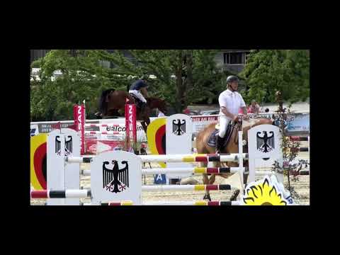 5 jährige Stute v. Stakkato Gold