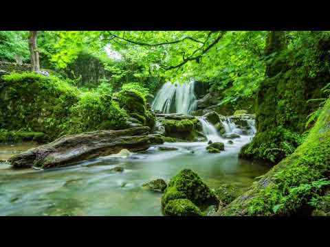 Relaxende Naturgeräusche: 30 Minuten Bachrauschen aus der Schwäbischen Alb