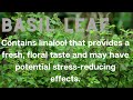 BASIL LEAF