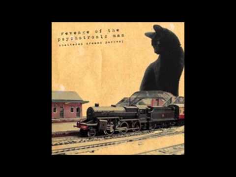 Revenge Of The Psychotronic Man - Look At Me... I'm a Fucking Tiger (2012)