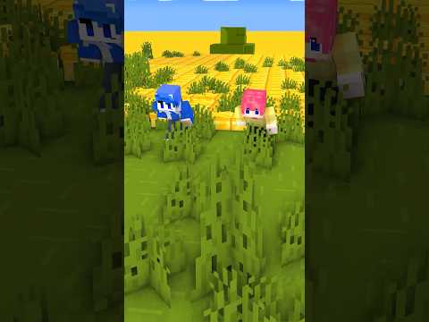 Huy Noob Và Hiha Chạy Thoát Khỏi Thảm Hoạ Hoá Vàng Trong Minecraft #shorts #minecraft #sinhtoshorts