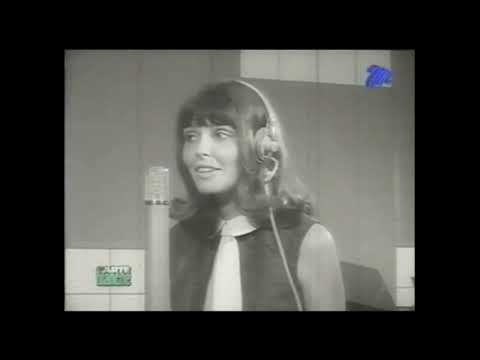 4 Jacks & a Jill (Carte Blanche)