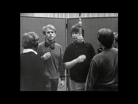 The Beach Boys - Wouldn't It Be Nice (Isolated Studio Vocals)