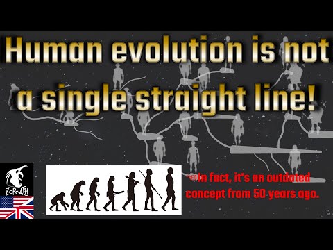 Human Evolution: A Multidimensional Perspective on the History of Evolution - 1-1