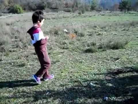 Malinois GIOMALI GIOVANNA&EDDA