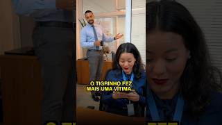 O TIGRINHO FEZ MAIS UMA VÍTIMA.. #shorts #trabalhador #dicasjuridicas #direitos #notícias #emprego