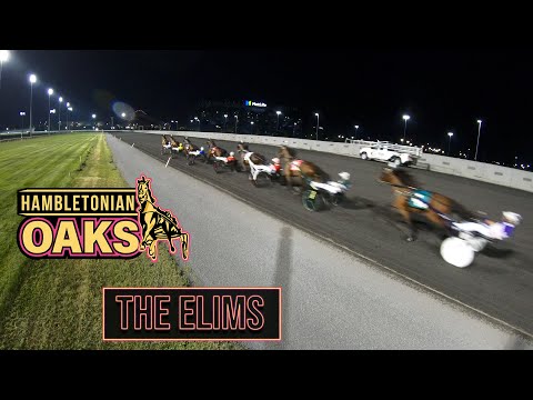 2024 Hambletonian Oaks Elims