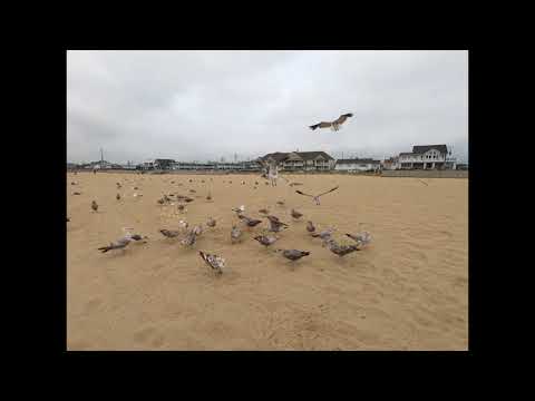 Belmar Beach New Jersey