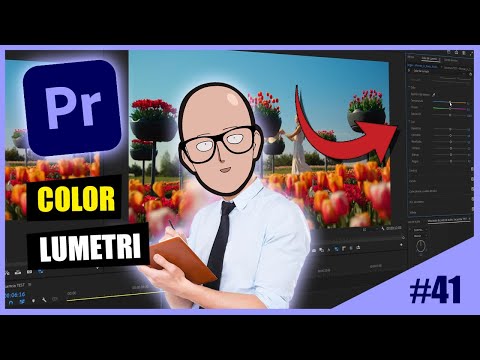 Miniatura del vídeo