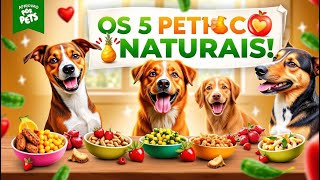 TOP 5 Petiscos Naturais que Todo Pet Precisa Provar! (Pelagem Brilhante e Mais Saúde) 