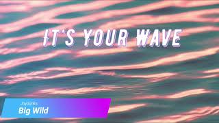 Big Wild - Joypunks