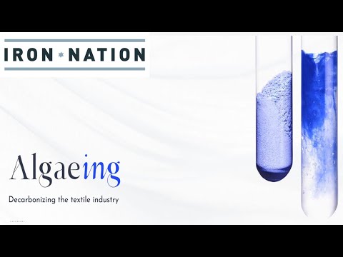 Iron Nation - Algaeing  logo