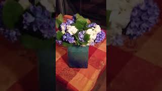 Paolo Touchoco Poèmes - Les baisers de Pierre Perret