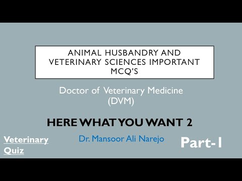 Dr. Sara May, Allergy and Immunology