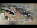 Vicente Fernández: El oficio de amar [Más con el número uno] karaoke {RUBIO}