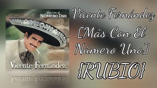 Vicente Fernández: El oficio de amar [Más con el número uno] karaoke {RUBIO}