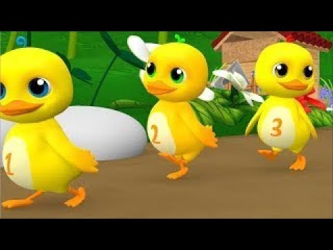 download lagu mp3 mp4 Bebek Lucu Berenang, download lagu Bebek Lucu Berenang gratis, unduh video klip Bebek Lucu Berenang