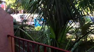 Michael Peron "Top Agent" CDPE Short Sale Bank Owned Specialist Davie Florida