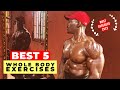 Top 5 Move Super Shred Full Body Workout