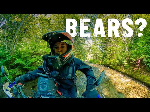 I hope there are no bears in this Canadian forest  |S6-E126|