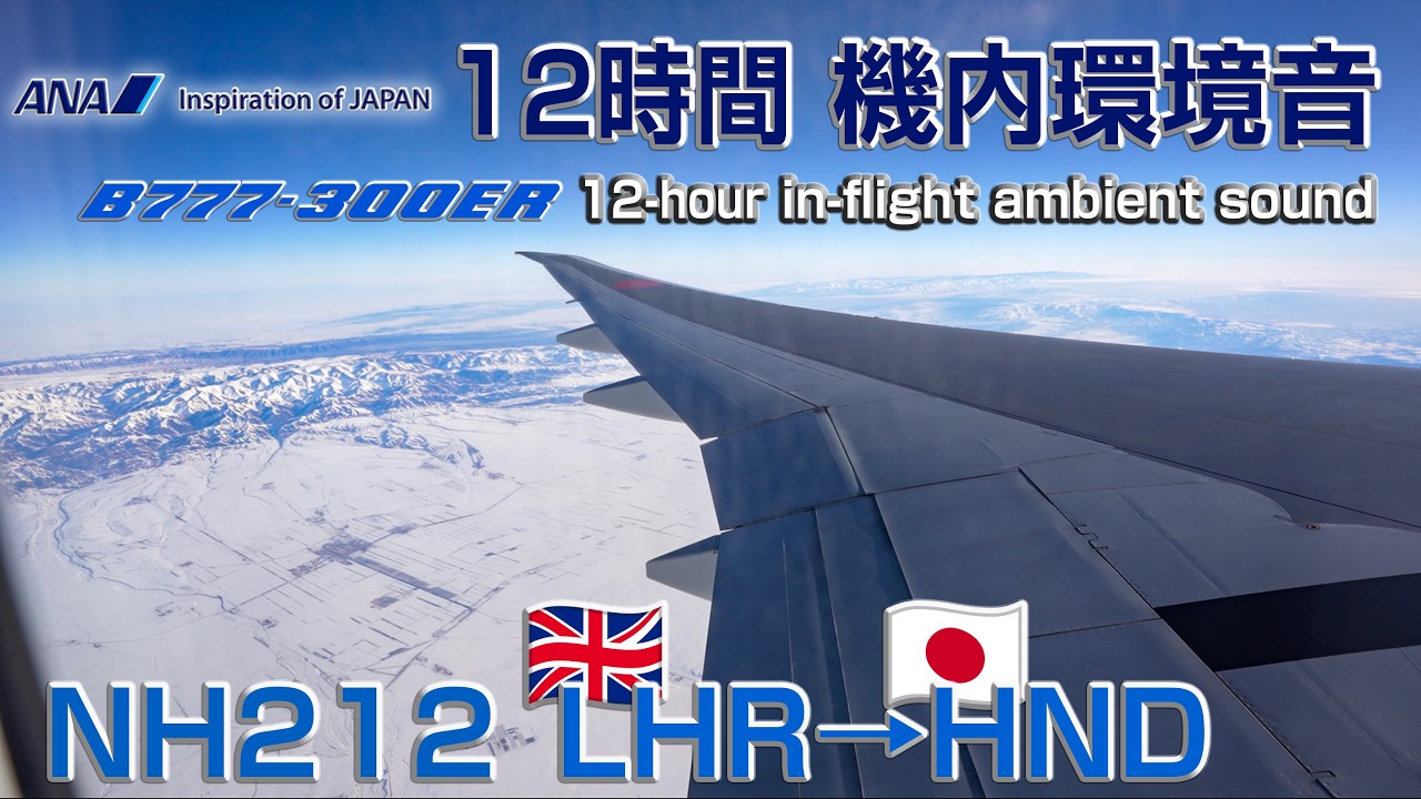 ANA長距離国際線 12時間フライト環境音  NH212 LHR-HND B777-300ER JA784A Seat:20C ビジネスクラス#飛行機に乗っている気分になれる動画【最高音質】