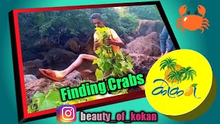 preview picture of video 'कोंकणातील खेकडे पकडण्याची पद्धत | Part-3 | Finding Crabs | Sakhar Rajapur | Beauty Of Konkan !'