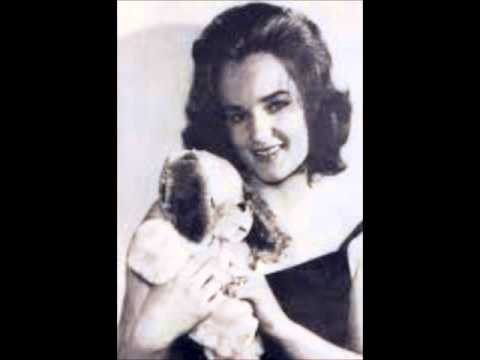 Imca Marina Harlekino