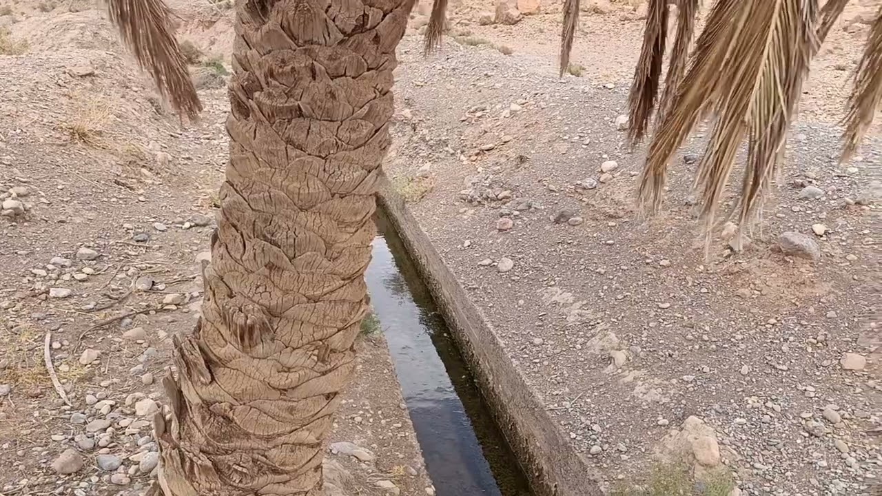 الحمد لله على نعمة الماء