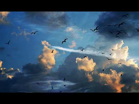 7.  PAUZA ZA RUCAK  -  Zahvaljivanje